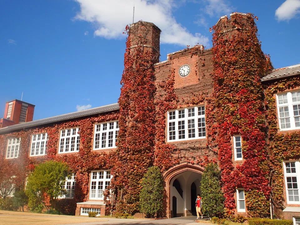 R-C (6).jpg R-C (6).jpg